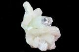 Zoned Apophyllite Crystals With Stilbite - India #72076-1